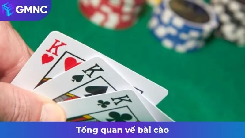 Tổng quan về bài cào
